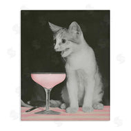 Stupell Studio | Cat & Pink Drink