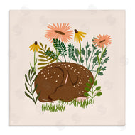 Carrie Cantwell | Sleeping Deer Among Daisies