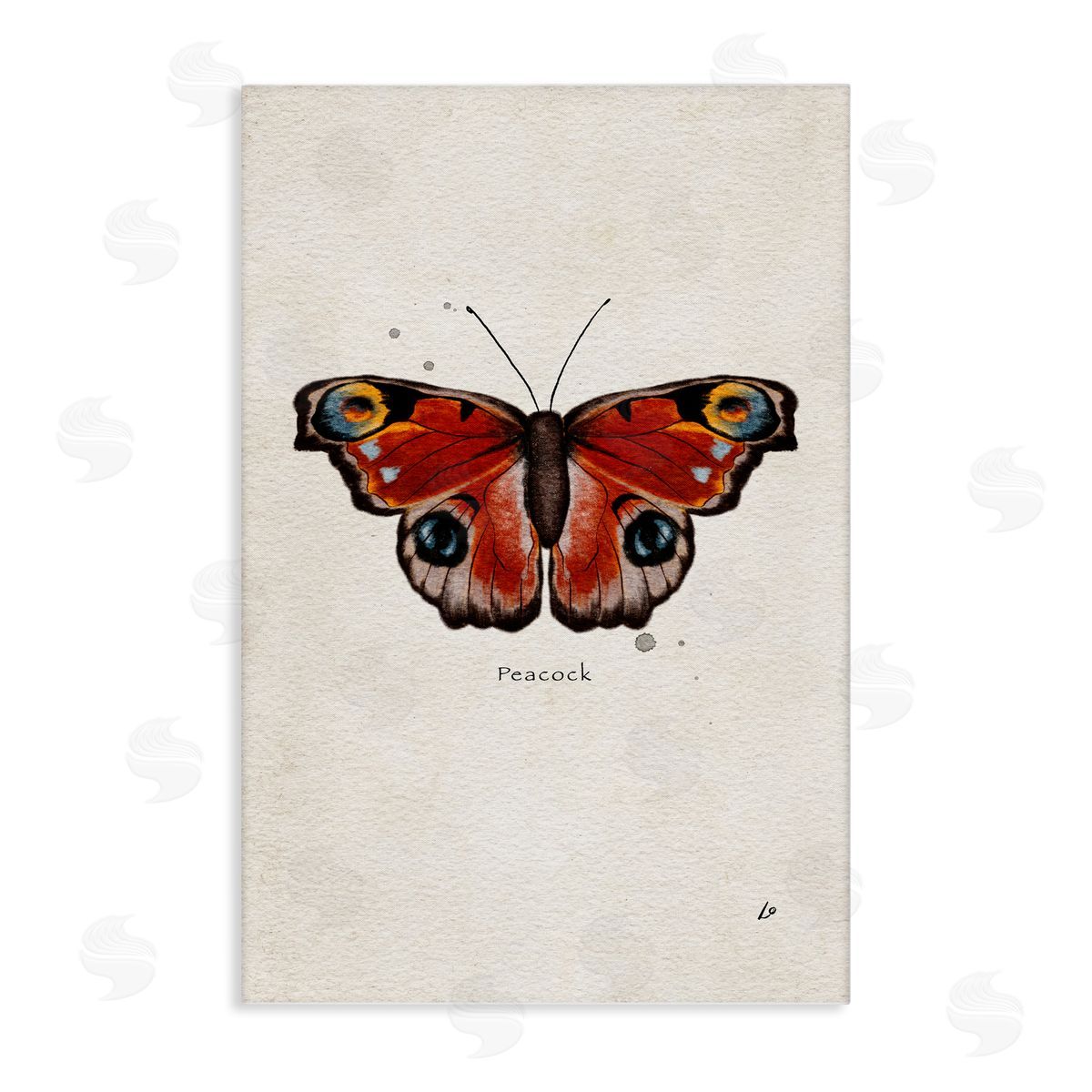 Peacock Butterfly Study Canvas Wall Art, Home Decor by Lydia Orange