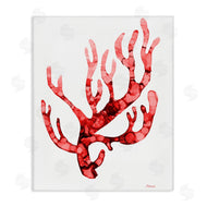 Patti Mann | Modern Curved Coral