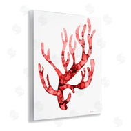 Patti Mann | Modern Curved Coral