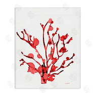 Patti Mann | Coral With Splashes