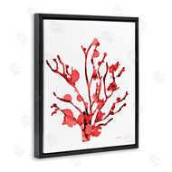Patti Mann | Coral With Splashes