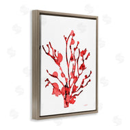 Patti Mann | Coral With Splashes