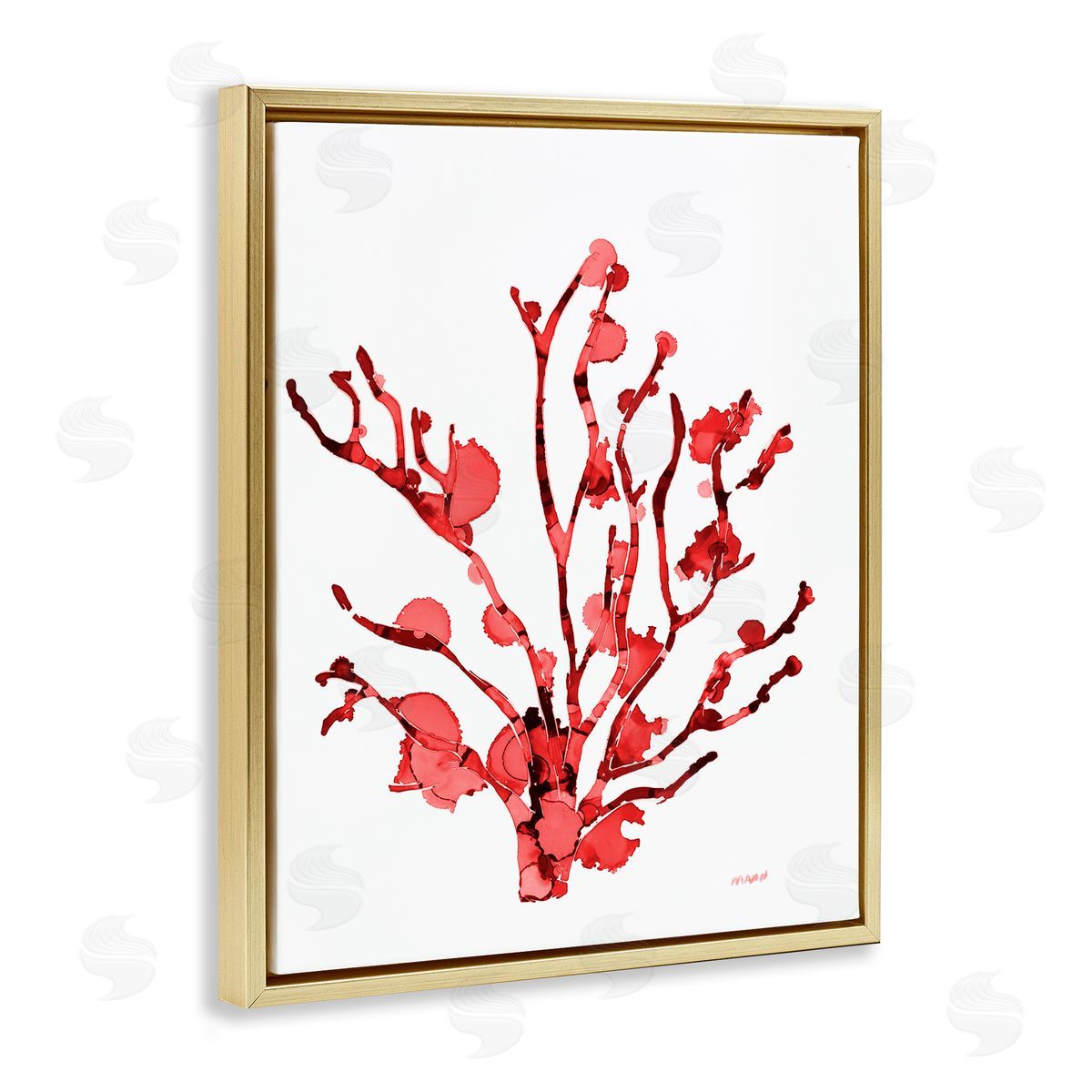 Coral With Splashes Gold Floating Frame Canvas Wall Art, Home Decor by Patti Mann