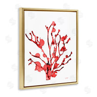 Patti Mann | Coral With Splashes