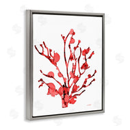 Patti Mann | Coral With Splashes