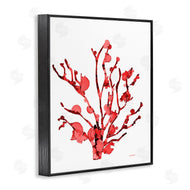 Patti Mann | Coral With Splashes