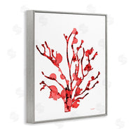 Patti Mann | Coral With Splashes