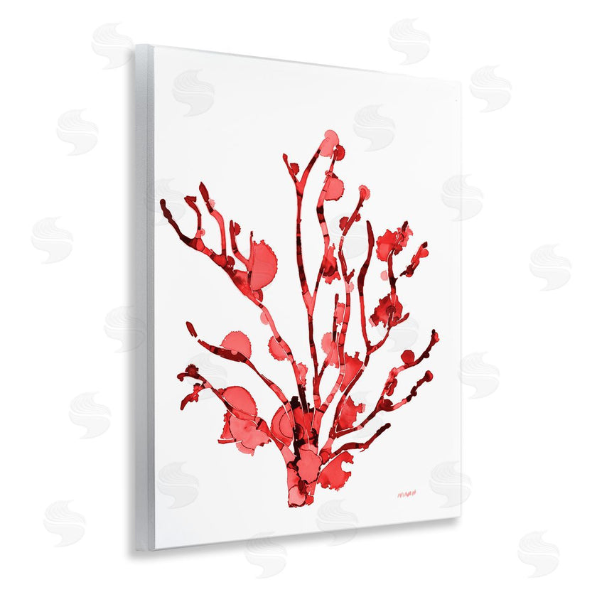 Patti Mann | Coral With Splashes