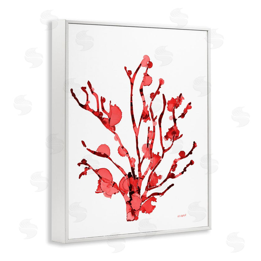 Patti Mann | Coral With Splashes