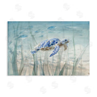 Danhui Nai | Undersea Turtle Swim