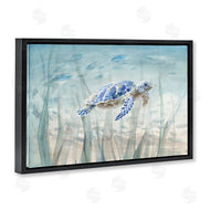 Danhui Nai | Undersea Turtle Swim