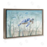 Danhui Nai | Undersea Turtle Swim
