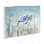 Danhui Nai | Undersea Turtle Swim