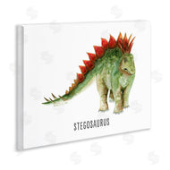 Brett Blumenthal | Stegosaurus Dinosaur Learning