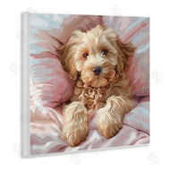 Jim Baldwin | Cuddling Labradoodle Bed