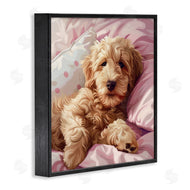 Jim Baldwin | Sleepy Labradoodle in Bed