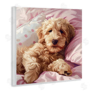 Jim Baldwin | Sleepy Labradoodle in Bed