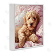 Jim Baldwin | Sleepy Labradoodle in Bed