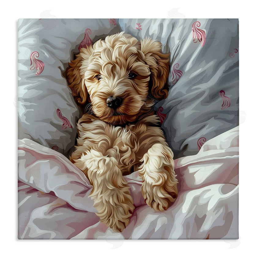 Jim Baldwin | Nap Time Cuddling Labradoodle