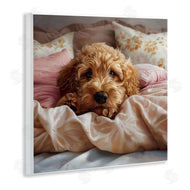 Jim Baldwin | Nap Time Cuddling Pup