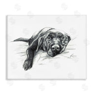 Lindsay Kivi Fine Art | Naptime Black Labrador