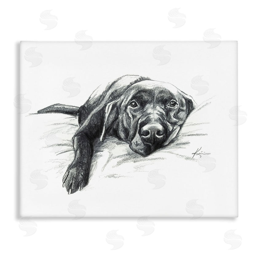 Lindsay Kivi Fine Art | Naptime Black Labrador