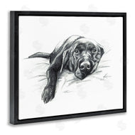 Lindsay Kivi Fine Art | Naptime Black Labrador