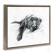 Lindsay Kivi Fine Art | Naptime Black Labrador
