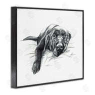 Lindsay Kivi Fine Art | Naptime Black Labrador