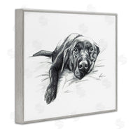 Lindsay Kivi Fine Art | Naptime Black Labrador
