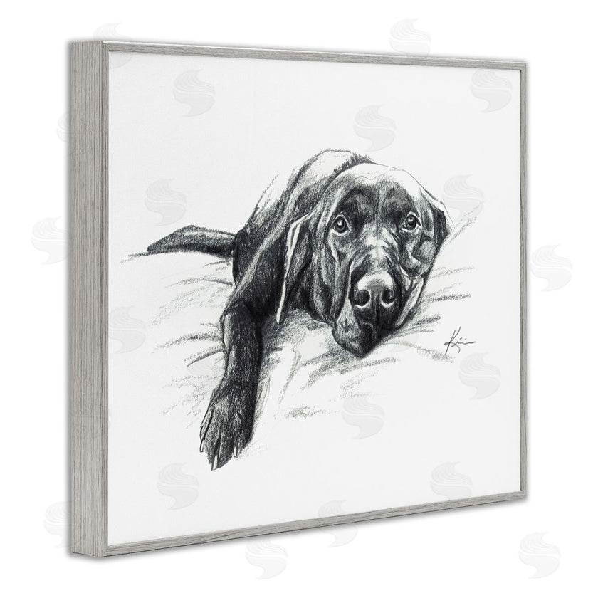 Lindsay Kivi Fine Art | Naptime Black Labrador