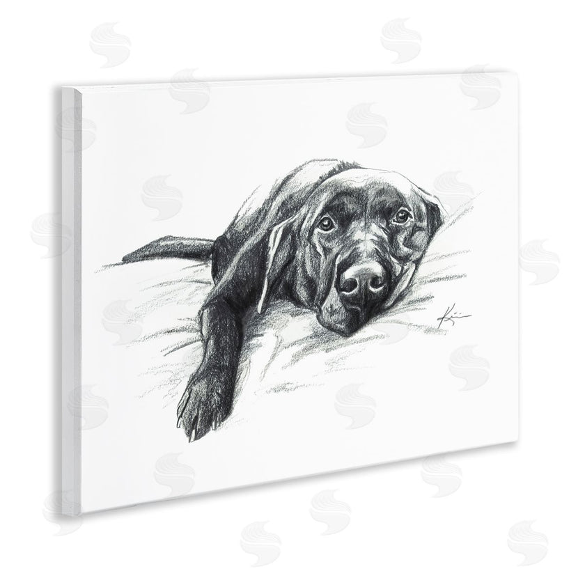 Lindsay Kivi Fine Art | Naptime Black Labrador