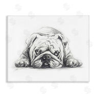 Lindsay Kivi Fine Art | Bulldog Puppy Naptime