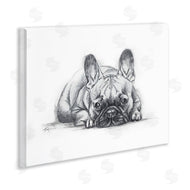 Lindsay Kivi Fine Art | French Bulldog Naptime