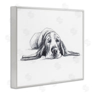 Lindsay Kivi Fine Art | Bloodhound Pup Naptime