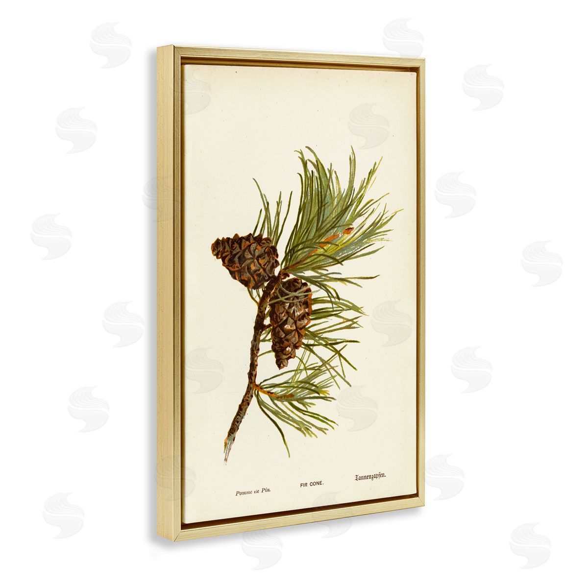 Fir Tree Cones Gold Floating Frame Canvas Wall Art, Home Decor by Tina Higgins Designs, Inc.