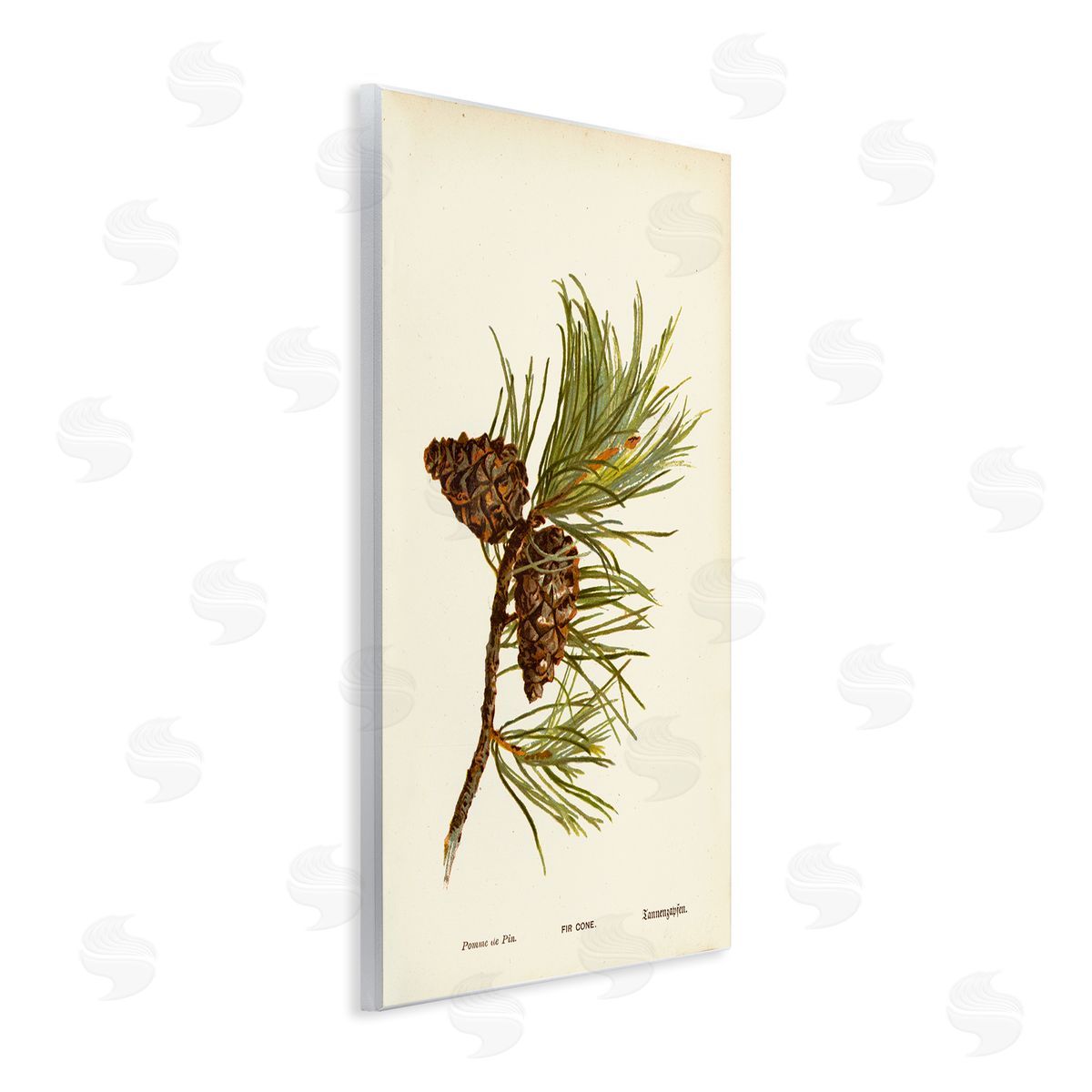 Fir Tree Cones Wood Plaque Wall Art, Home Decor by Tina Higgins Designs, Inc.
