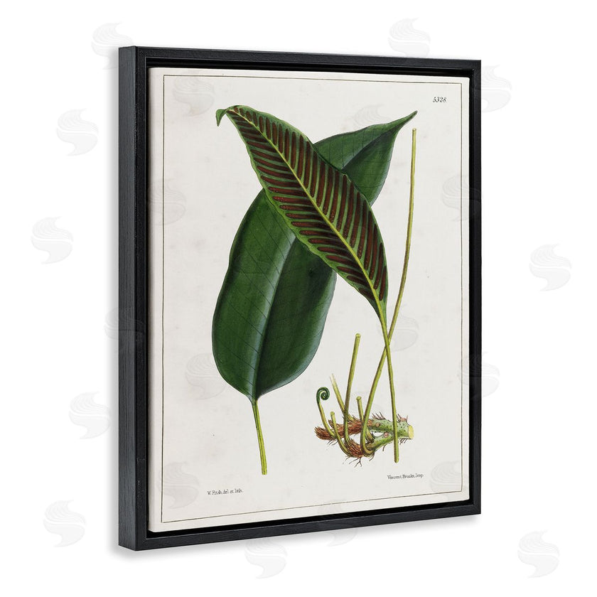Tina Higgins Designs, Inc. | Leaf and its Underside Study