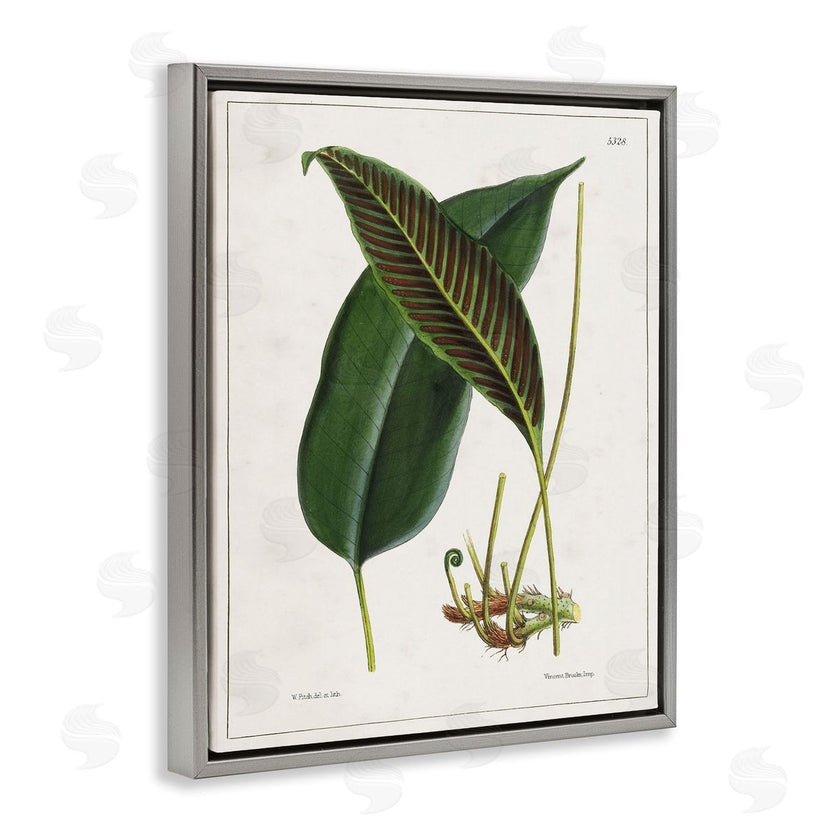 Tina Higgins Designs, Inc. | Leaf and its Underside Study