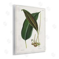 Tina Higgins Designs, Inc. | Leaf and its Underside Study