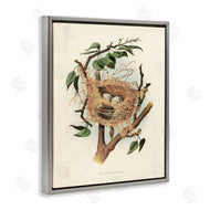 Tina Higgins Designs, Inc. | Eggs in Birdnest Study