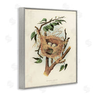 Tina Higgins Designs, Inc. | Eggs in Birdnest Study