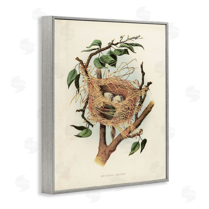 Tina Higgins Designs, Inc. | Eggs in Birdnest Study