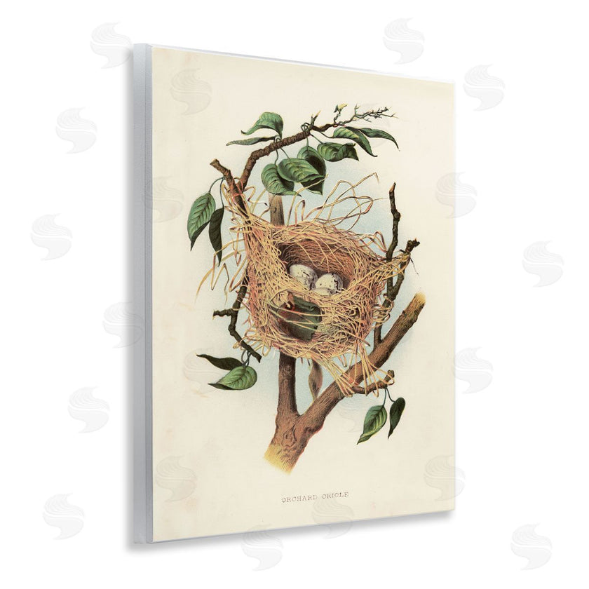 Tina Higgins Designs, Inc. | Eggs in Birdnest Study