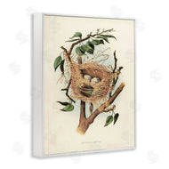 Tina Higgins Designs, Inc. | Eggs in Birdnest Study