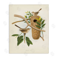 Tina Higgins Designs, Inc. | Vintage Bird House Study