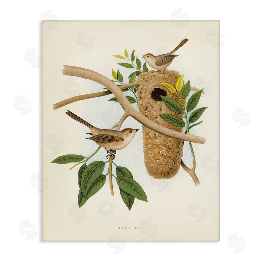 Tina Higgins Designs, Inc. | Vintage Bird House Study