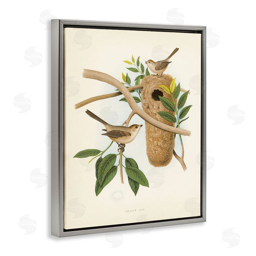 Tina Higgins Designs, Inc. | Vintage Bird House Study